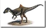 Descubren nueva especie de dinosaurio