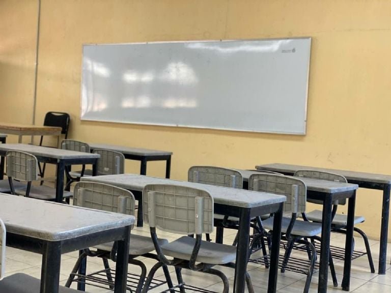 SEP: ¿cuáles son las nuevas materias para el ciclo escolar 2025-2026?