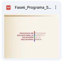 Primaria Fase 6 Programa Sintético