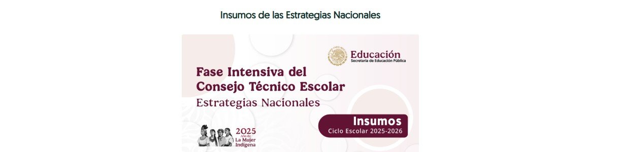 Insumos de las Estrategias Nacionales Fase Intensiva 2025-2026